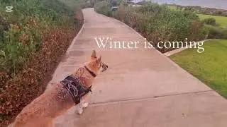 WINTER IS COMING!  #winteractivities #winterwalks #rainbow #adventure #ocean