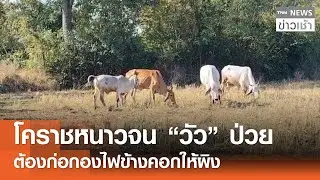 โคราชหนาวจน 