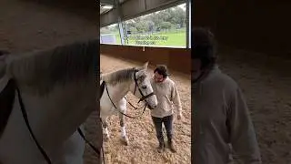 My boyfriend&rsquo;s in his Amy Fleming era #horse #equestrianlifestyle #horseriding #equestrian