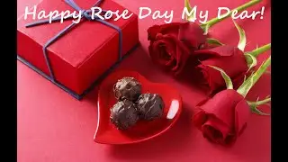 Happy Rose Day 2020 || 7th Feb Rose Day Whatsapp Status Video Message
