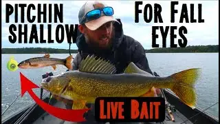 Fall Walleye Fishing With Live Bait