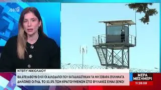 Θα απελαθούν όλοι οι αλλοδαποί που καταδικάστηκαν για μη σιβαρά εγκλήματα, λέει ο ΠτΔ