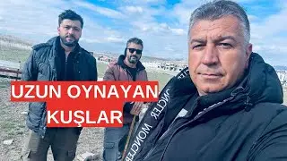 Bol Takla Uzun Metrajlı Kuşlar 11 Kere Kupaya Uçtular Başarılı Kuşlar