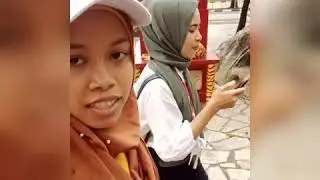 Keliling har paw villa