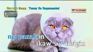Tunay Na Nagmamahal - J. Brothers || Megapro plus midi karaoke 