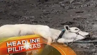 Headline Pilipinas, 20 January 2020 | DZMM