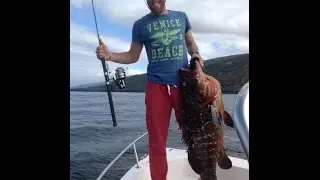 Azores Fishing Pico Island