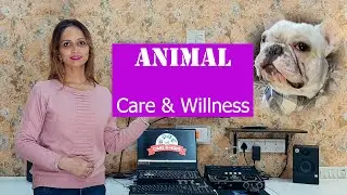 Winter Dog Care 🔥 | Increase Water Intake in Winter | Warm Bed Tips & Hydration Guide | Care N&rsquo; Hope