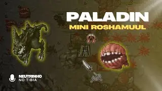 TIBIA - MINI ROSHAMUUL (FEYRIST NIGHTMARE) | PALADIN LEVEL 150+