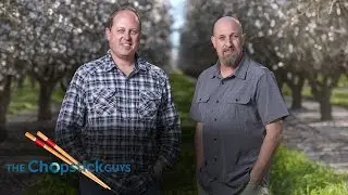 Meet the Chopstick Guys