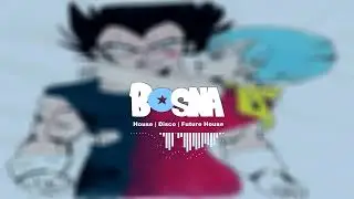 [ House | Disco | Future House ] House mix | DJ Bosna
