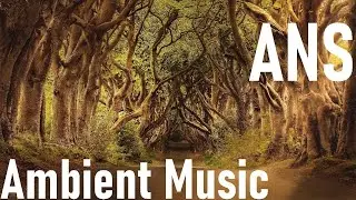 Scenic landscapes and Ambient Music Art Nature Sound