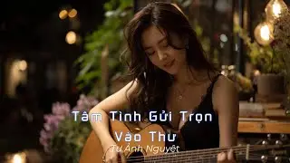 Tâm Tình Gửi Trọn Vào Thư 🎸 Guitar Không Lời Da Diết