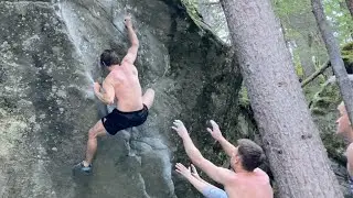 Blown away 7B (flash) - Magic wood