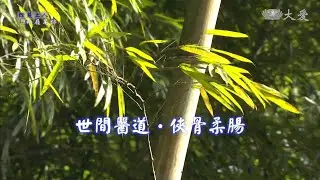 In the Footsteps of Venerable Master Cheng Yen - Sincere Love: The Heart of Medical Care (世間醫道 俠骨柔腸)