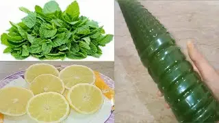 Mint Lemonade Syrup Recipe | Summer Drinks | Ramazan Special | Pudina lemon Ka Syrup