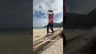 Walking on the Wood Challenge #beachvibes #adventureexploring #adventureseekers #highlight