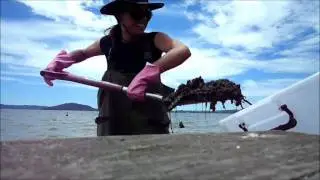 CLEAN UP FOR THE CUP! LAKE ROTORUA