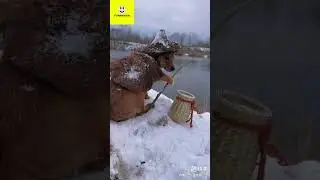 viral funny  #funny #mememan #comedy #memerman #memes #memes4days #prank #failvines #monkey #meme5