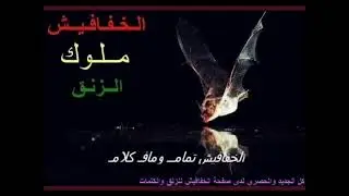 سنهوري + الزمبار نيجيري + يوم الخميس في النادي جوه + زنق سوداني