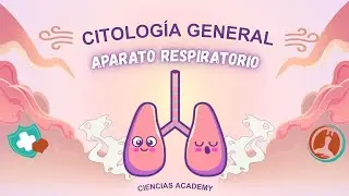 Citología del apartamento respiratorio: células y funciones explicadas fácilmente🫁🦠