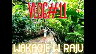 Living Like a Local in Las Terrenas 🇩🇴 | Daily Life, Culture & Beach Town Vibes | Vlog 11 of 30