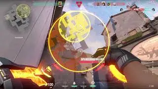 Best spot molly on A$cent