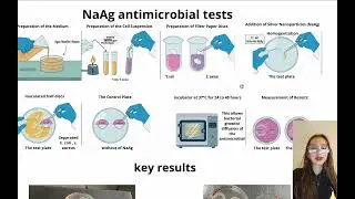 SYNTHESIS OF SILVER NANOPARTICLES AND EVALUATION OF THEIR ANTIMICROBIAL ACTIVITY