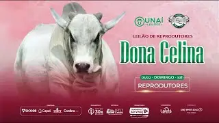 1º LEILÃO DE REPRODUTORES DONA CELINA 2026 - UNAÍ LEILÕES -01-02-2026