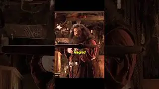 How powerful was Rubeus Hagrid #harrypotter #potterhead #harrypotterfan