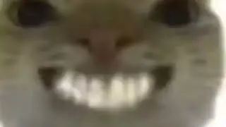 Minecraft Fet Hands (#ratcat 100k special)