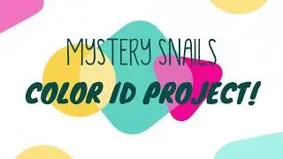 Mystery Snails COLOR ID Part 1 (2 days old baby snails)