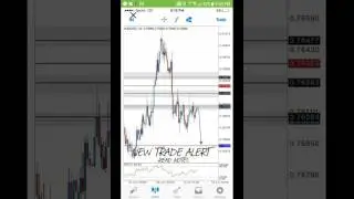 Swipe Trade App in Action