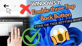 How to Enable Mouse Back Button on Windows 11 | Three Finger Tap to Back | Quick Fix for Laptop & PC