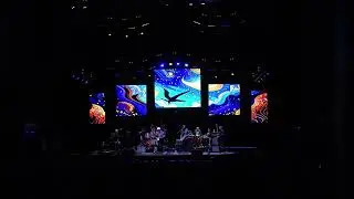Little Feat - 