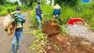 We cleaned up the long-abandoned sidewalk, and the result moved the residents | Cleanup Lawn