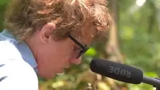 Steve Gunn - Milly's Garden (Live on KEXP @Pickathon)