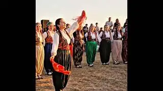 Kadınların muhteşem g&ouml;sterisi  #halay #kurdish #kurtce #&ouml;ne&ccedil;ıkar #dugunumuzvar #gelin  #halaybasi