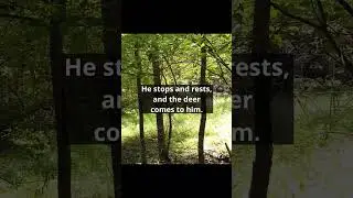 Tao Story 5.