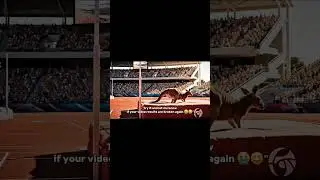 &ldquo;I Gave the AI a Perfect Prompt. This Is What I Got.&rdquo; 😝🥴 [ Prompt in description ] #aivideo #funny