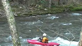 A Tour of The Great Smoky Mountain!