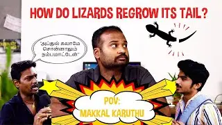 How do lizards regrow its tail? || Infinite Engineers