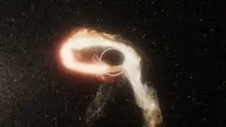 Black Hole Tidal Disruption Event