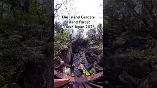 Quick exploration of The Island Garden-Island Forest in Osaka Japan #osaka #japan #japantravel