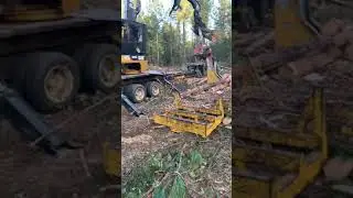 SAW CUTTING SHORT PINE LOGS