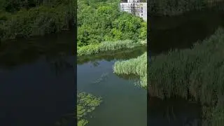 Lacul Fundeni - 30.000 tone de gunoi