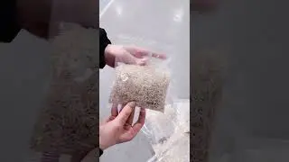 Reliable & Simple: Single-Lane Granule Packaging Machine for Salt, Sugar, MSG, and Seasonings