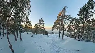 Winter Walk in Finland | Maanp&auml;&auml;, Hirvensalo, Turku | ASMR Snow Footsteps at &minus;20&deg;C (&minus;4&deg;F) | 4K 60FPS