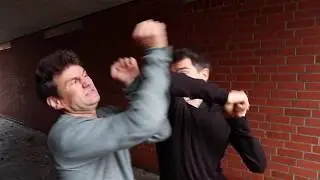 Mantis Boxing 1