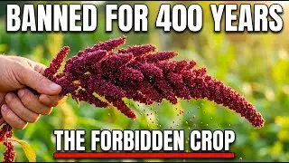 Replaces Meat AND Greens. One Plant. Why Was It Banned For 400 Years?